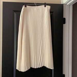 Pleated Skirt
